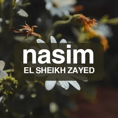 كمبوند نسيم الشيخ زايد nasim el sheikh zayed