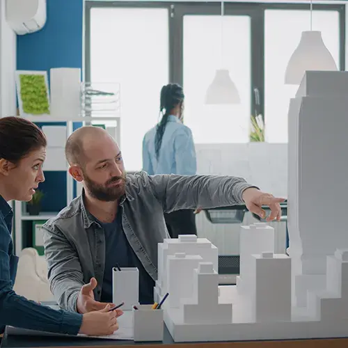 wise development mission