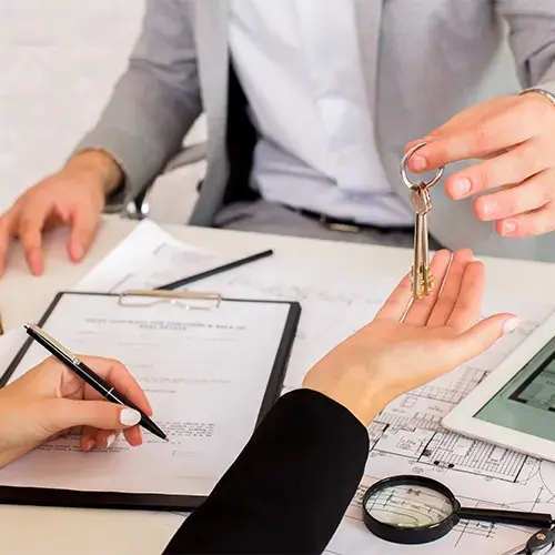 wise development vision