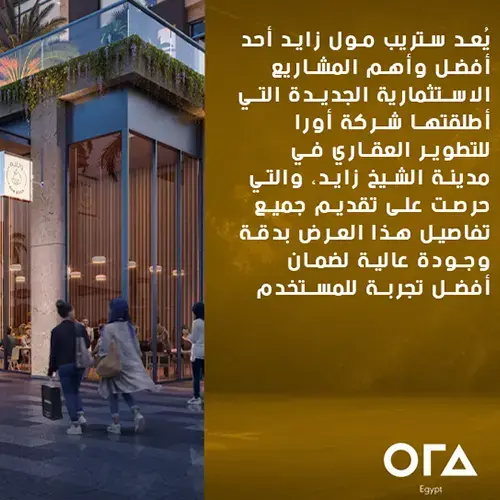 strip mall zayed photo