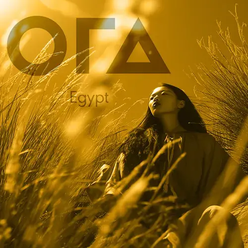 ستريب مول زايد strip mall zayed