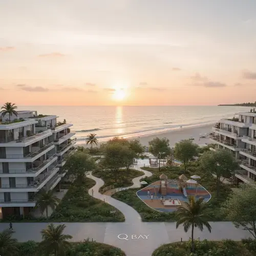 q bay north coast faetures