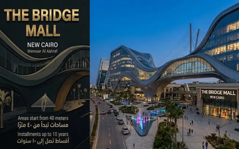 the bridge mall project
