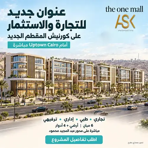 the one mall project